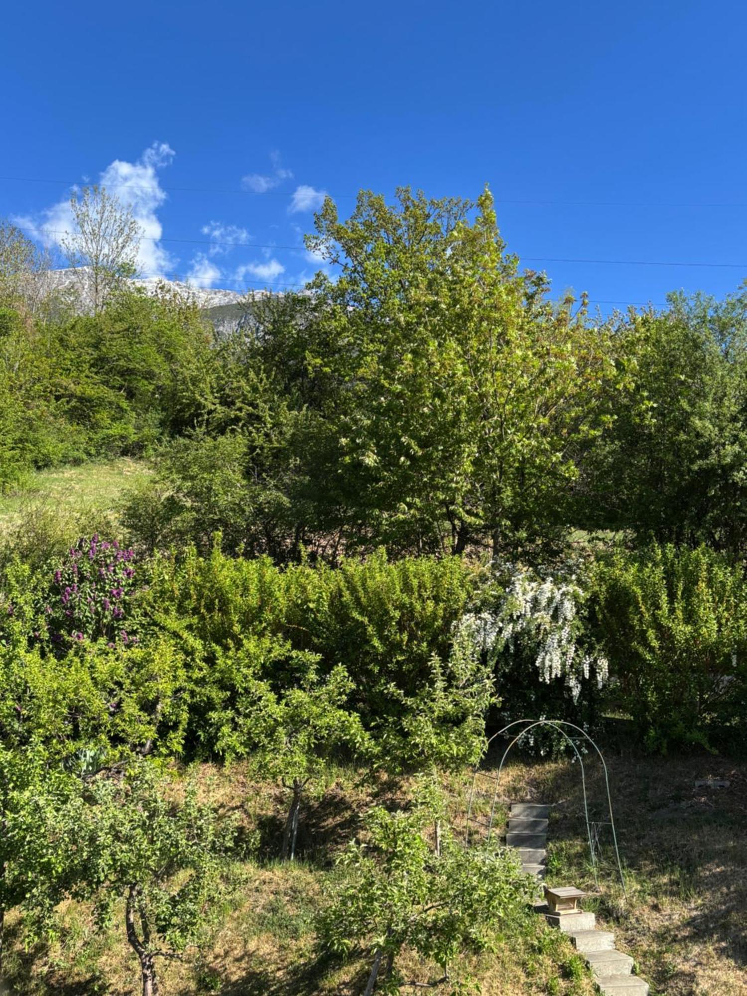 Apartamento Lechtaler Alpenblick - & *